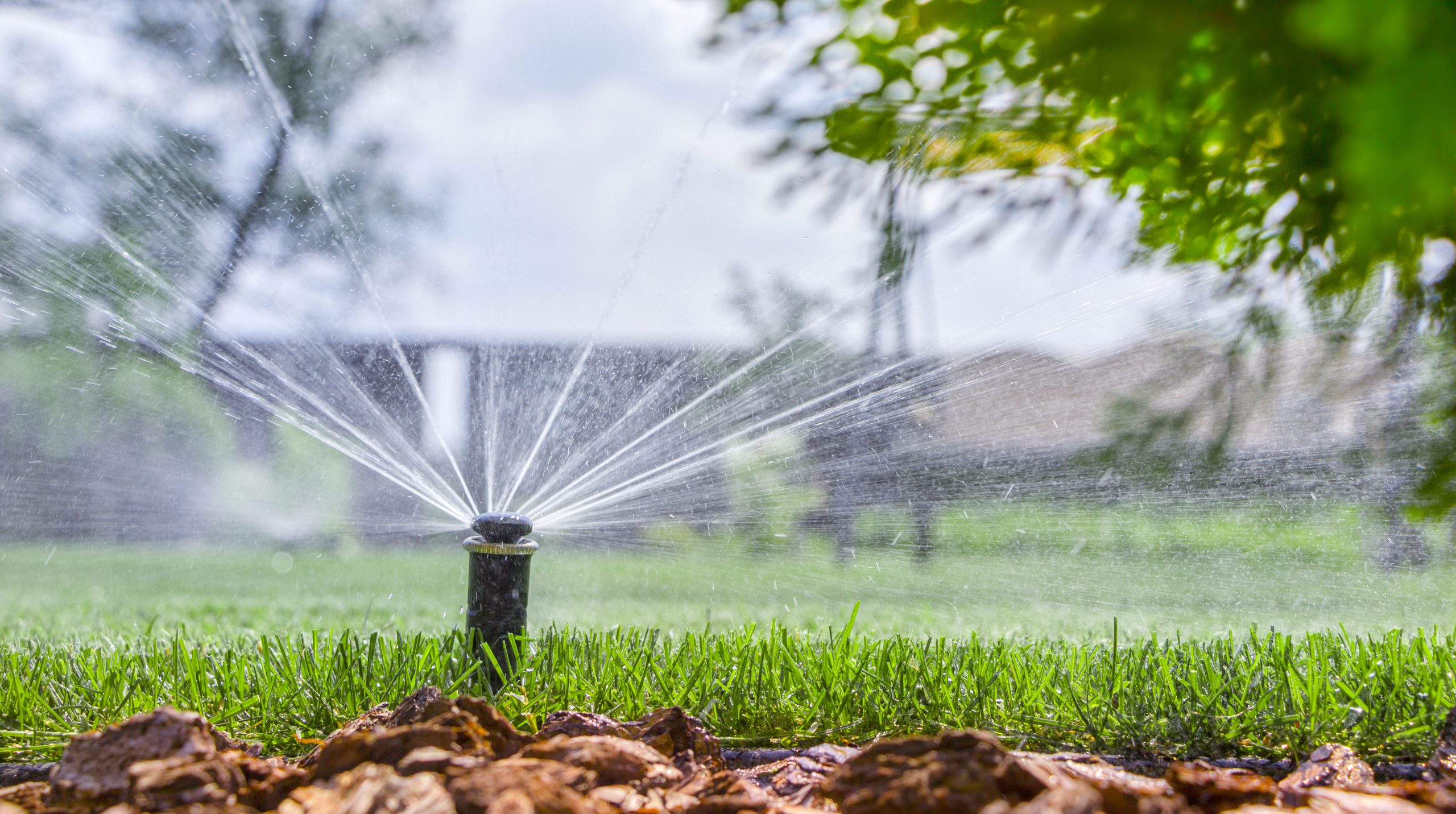 Automatic irrigation system watering a lawn